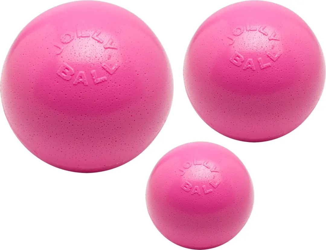 Jolly Pets Bounce-n Play Hondenbal Ø11cm