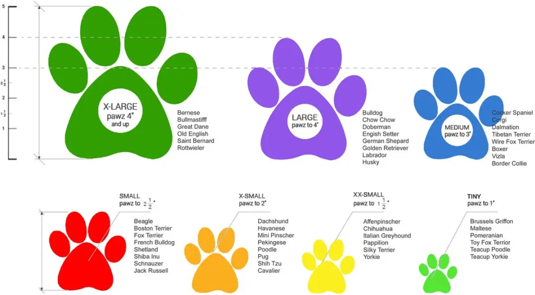 Pawz Hondenschoenen