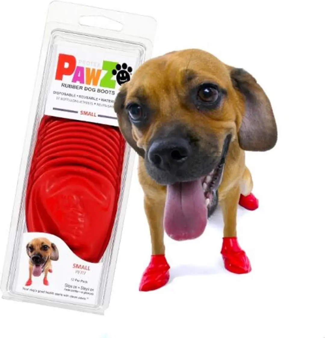 Pawz Hondenschoenen - XXS - Geel - afbeelding 5 van 6