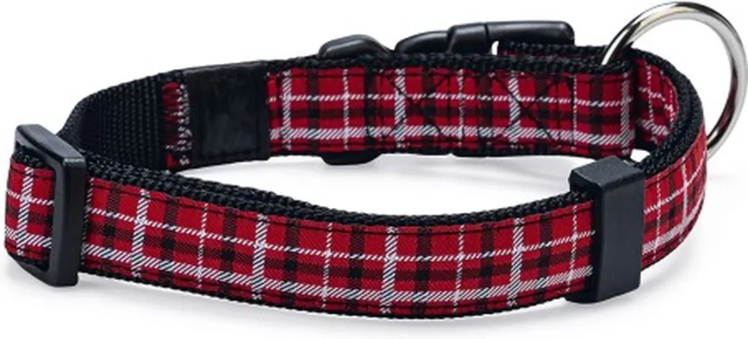 Collar tartan s 30-45 cm 15 mm
