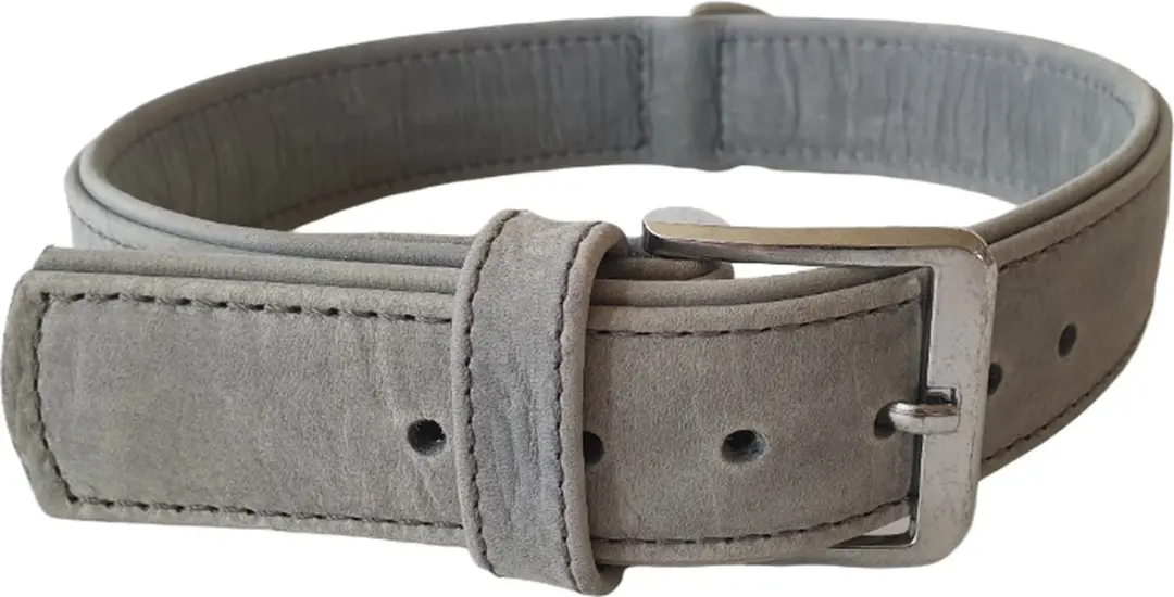 KARLIE Buffalo Denim Halsband / Hondenhalsband