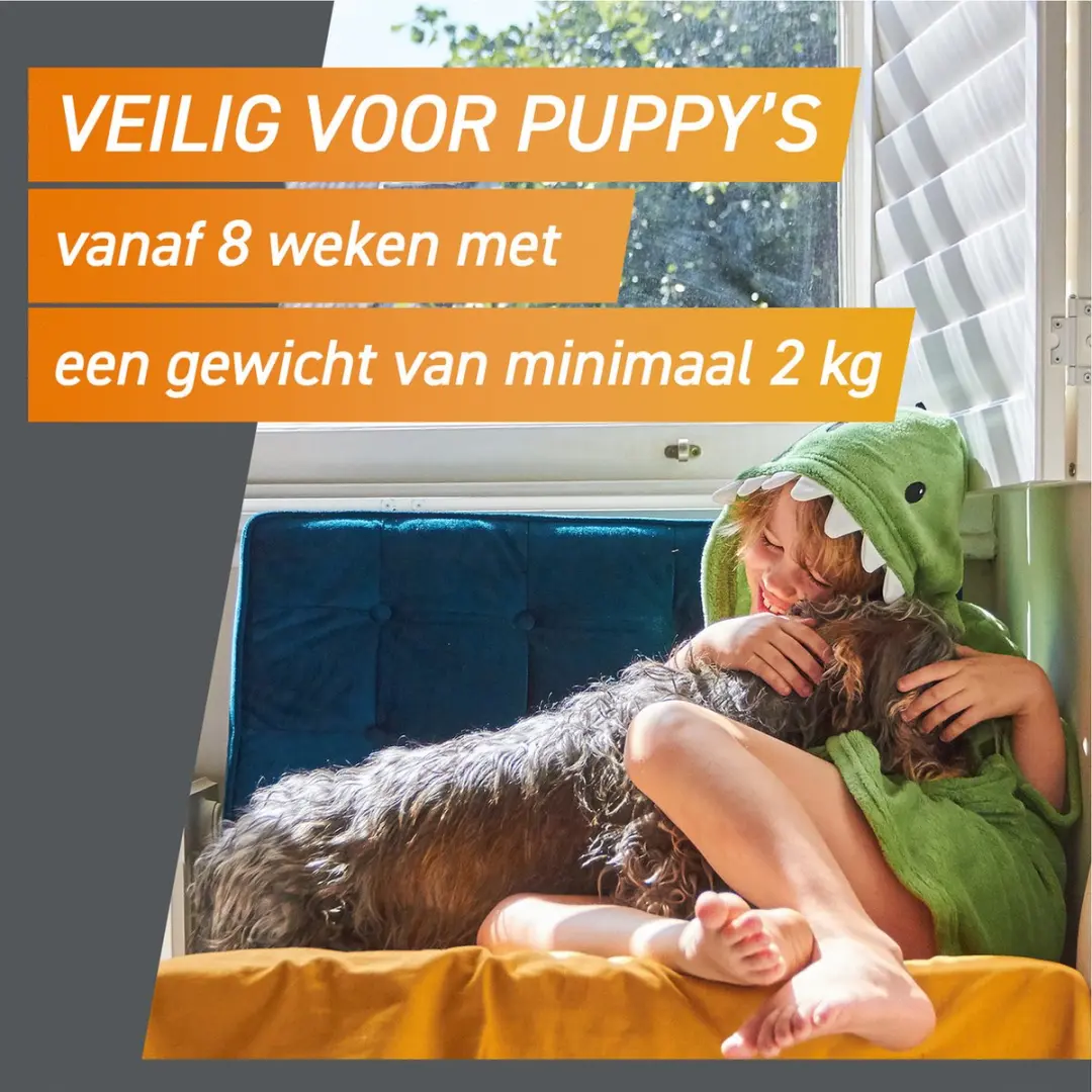 Frontpro Kauwtabletten Hond 4-10 kg - 3 Stuks - afbeelding 2 van 6