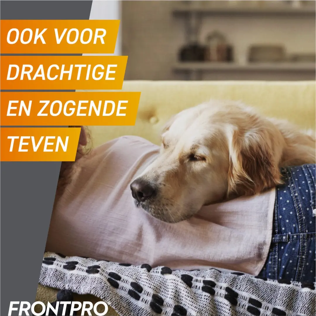 Frontpro Kauwtabletten Hond 2-4 kg - 3 Stuks - afbeelding 4 van 6
