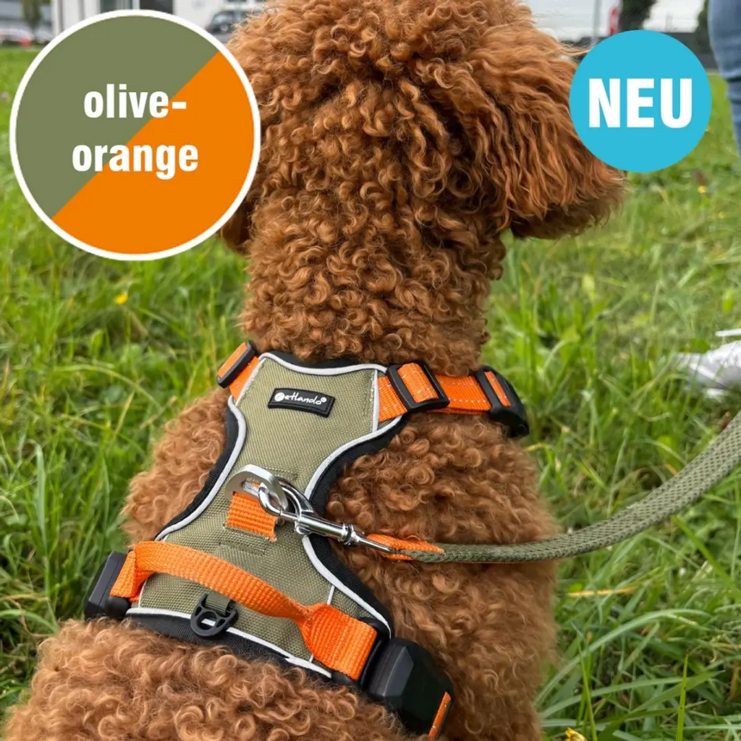 Petlando Magnetech Hondentuig XL - Olijf/Oranje - afbeelding 4 van 4
