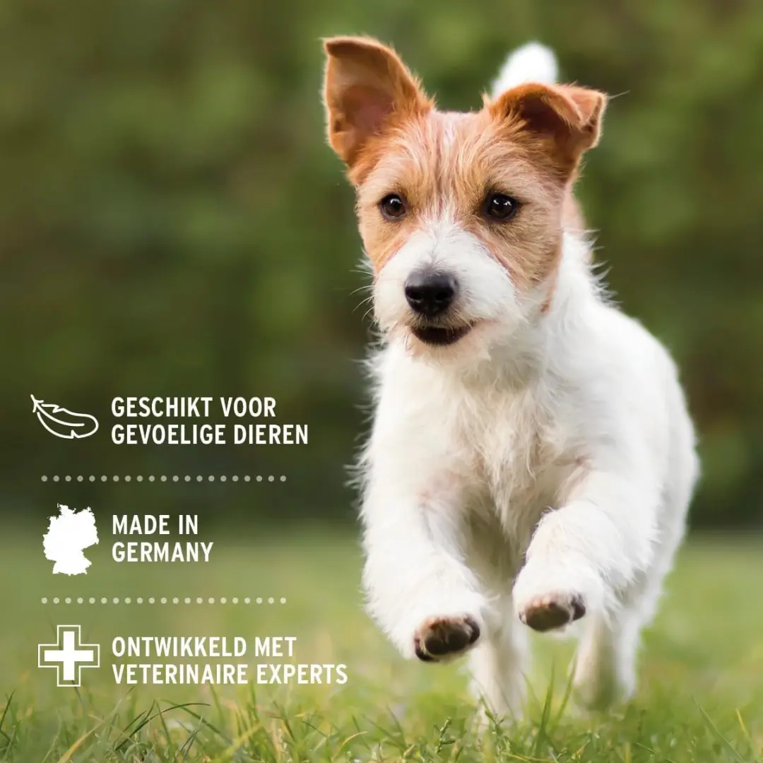AniForte VET Oorreiniger Hond & Kat met Kamille 250ml - afbeelding 3 van 5