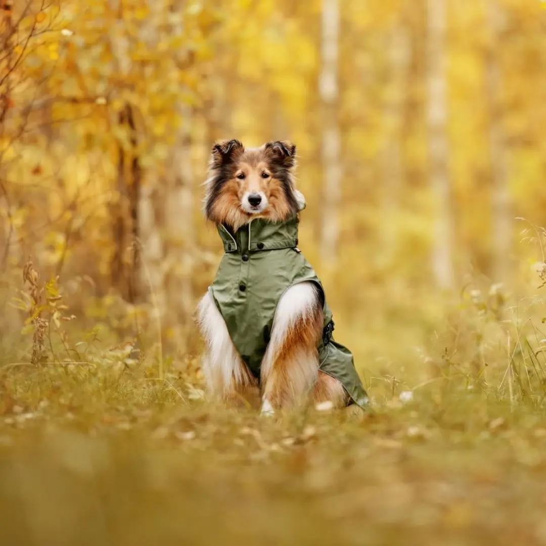 Rukka Pets Streamy ECO Regenjas - Olijfgroen - S - afbeelding 4 van 6
