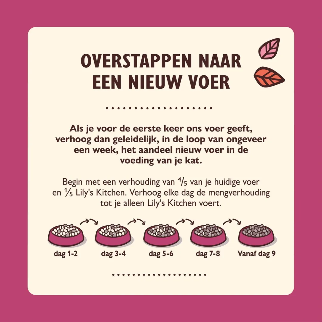 Lily's Kitchen Paté Kip voor Kittens - 19x85g