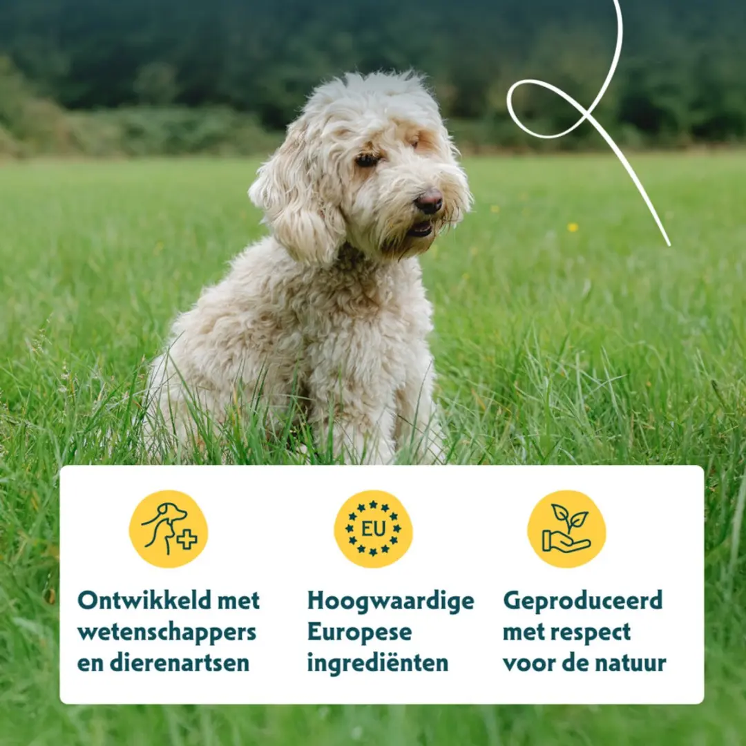 Yarrah Bio Hondenvoer Graanvrij Kip & Vis 2kg - 4x - afbeelding 2 van 6
