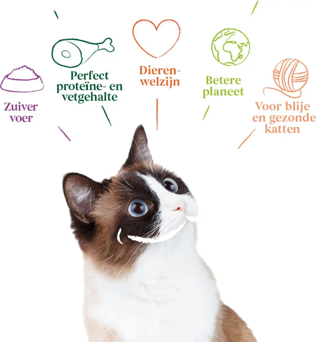 Yarrah Bio Kattenvoer Paté Kip 400g - afbeelding 6 van 6