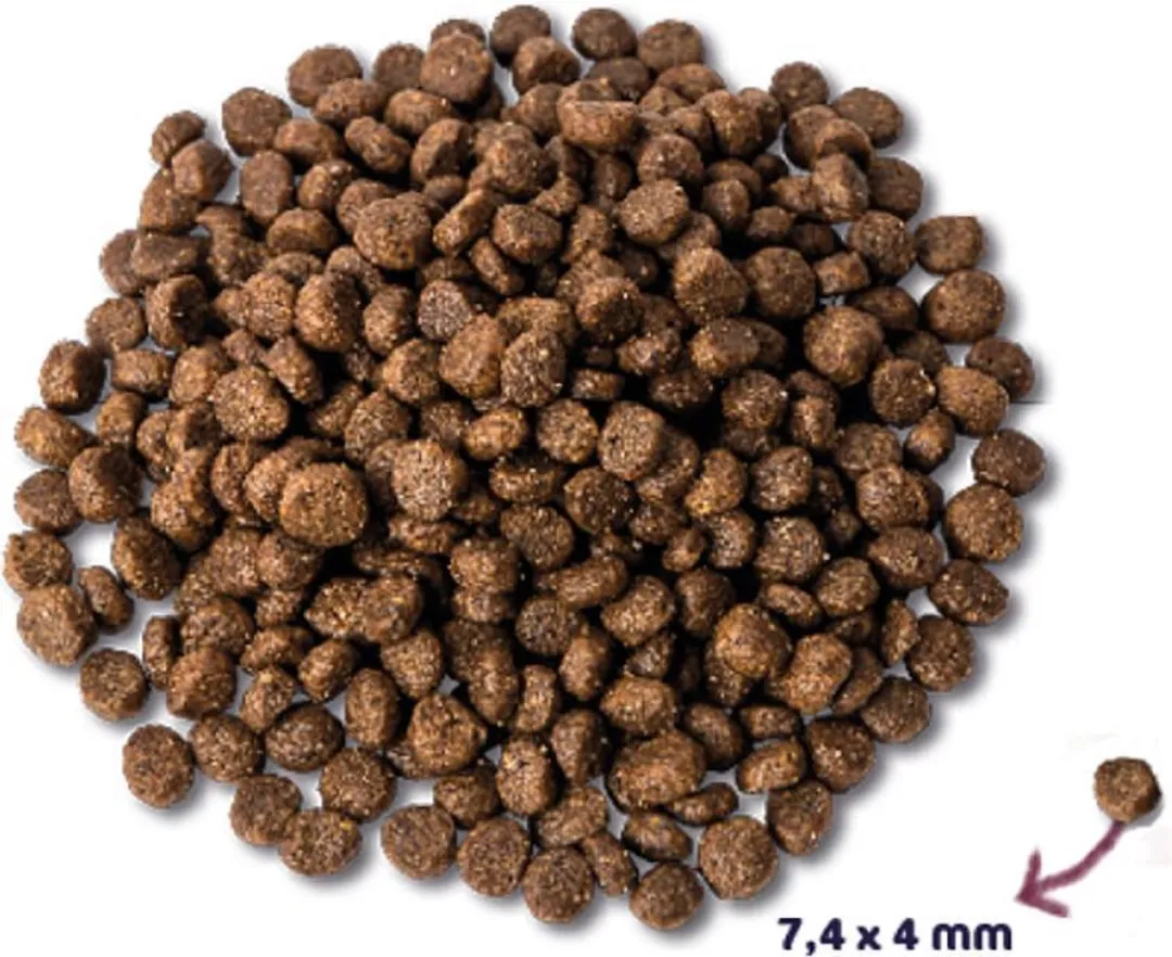 Renske Adult Mini Hondenvoer Kip Lam 2kg - 4 Stuks