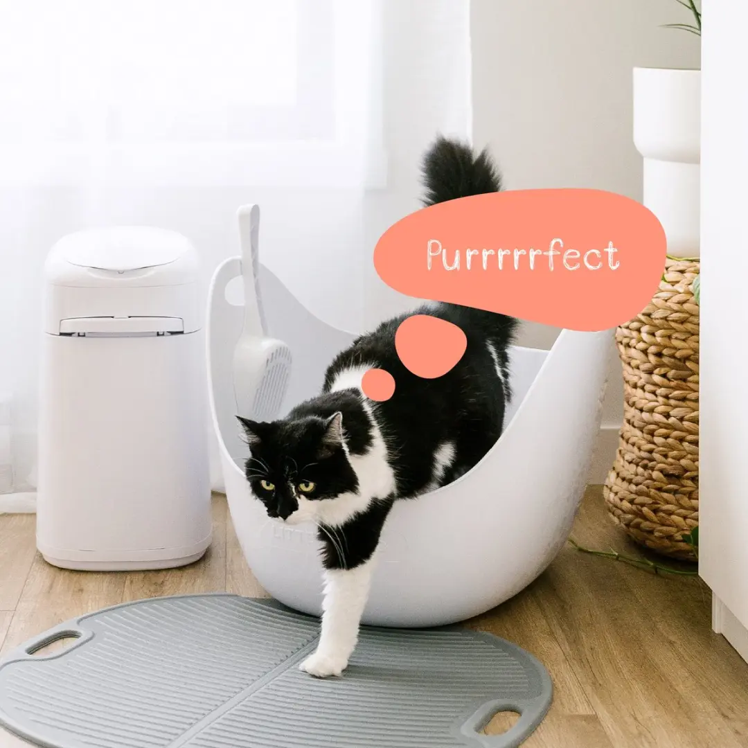 Litter Genie Flexibele Kattenbak - Grijs - afbeelding 5 van 6