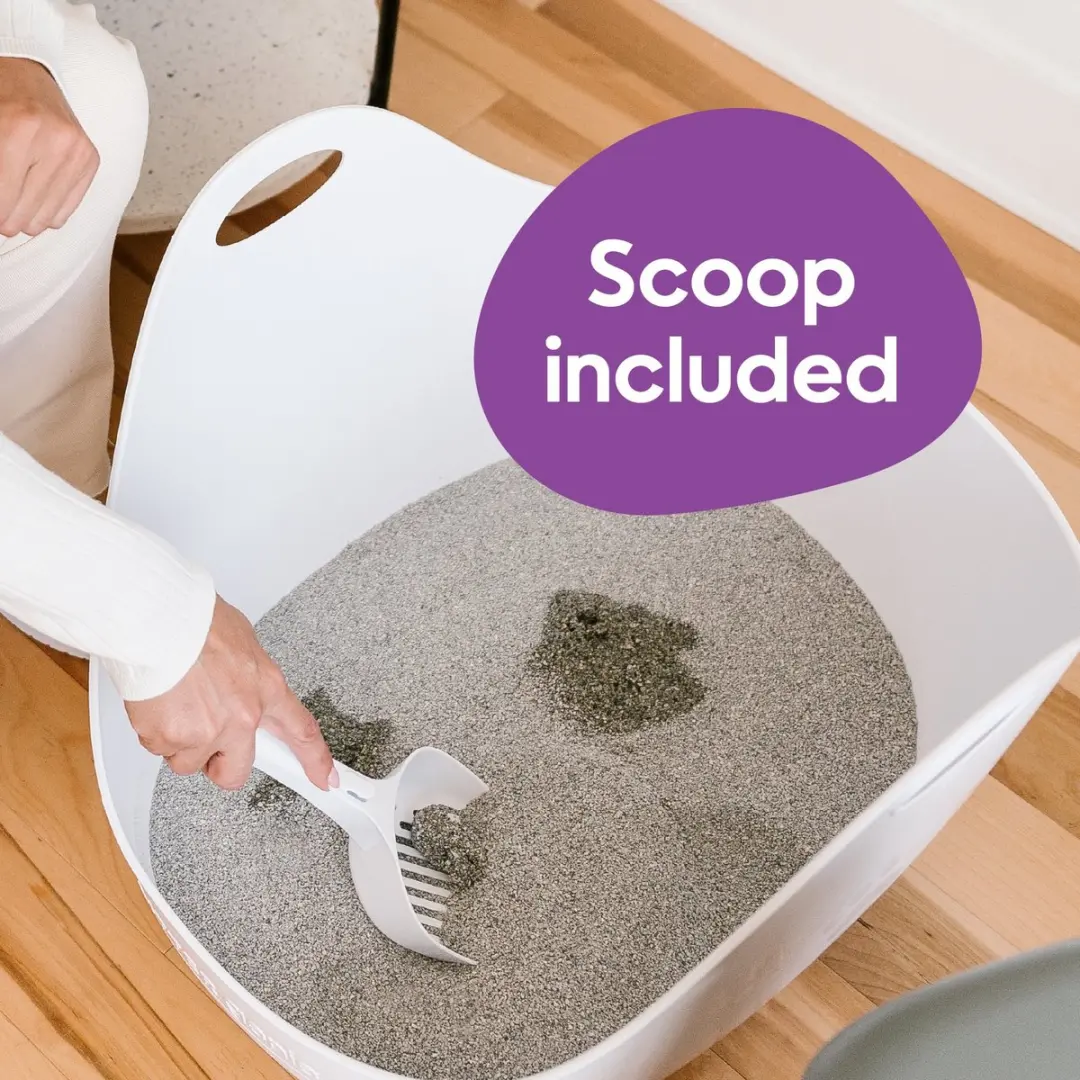 Litter Genie Flexibele Kattenbak - Grijs - afbeelding 3 van 6