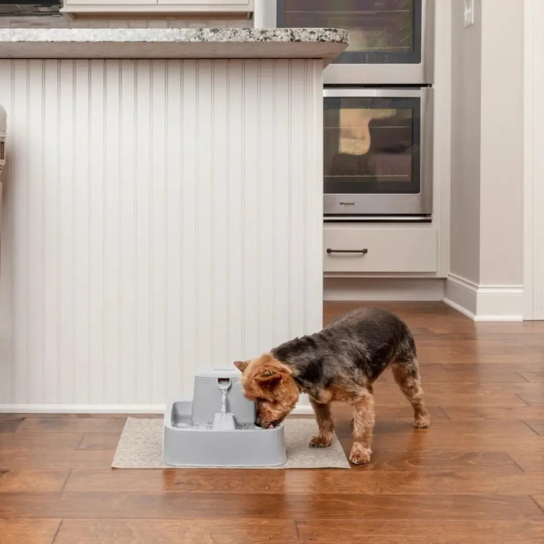 PetSafe Drinkwell® 1.8 litre Pet Fountain - Drinkfontein voor kleine honden en katten - Met vrijvallende waterstroom en verstelbare stroomsnelheid - 1,8 liter - Drinkfontein 1,8 liter - afbeelding 2 van 6