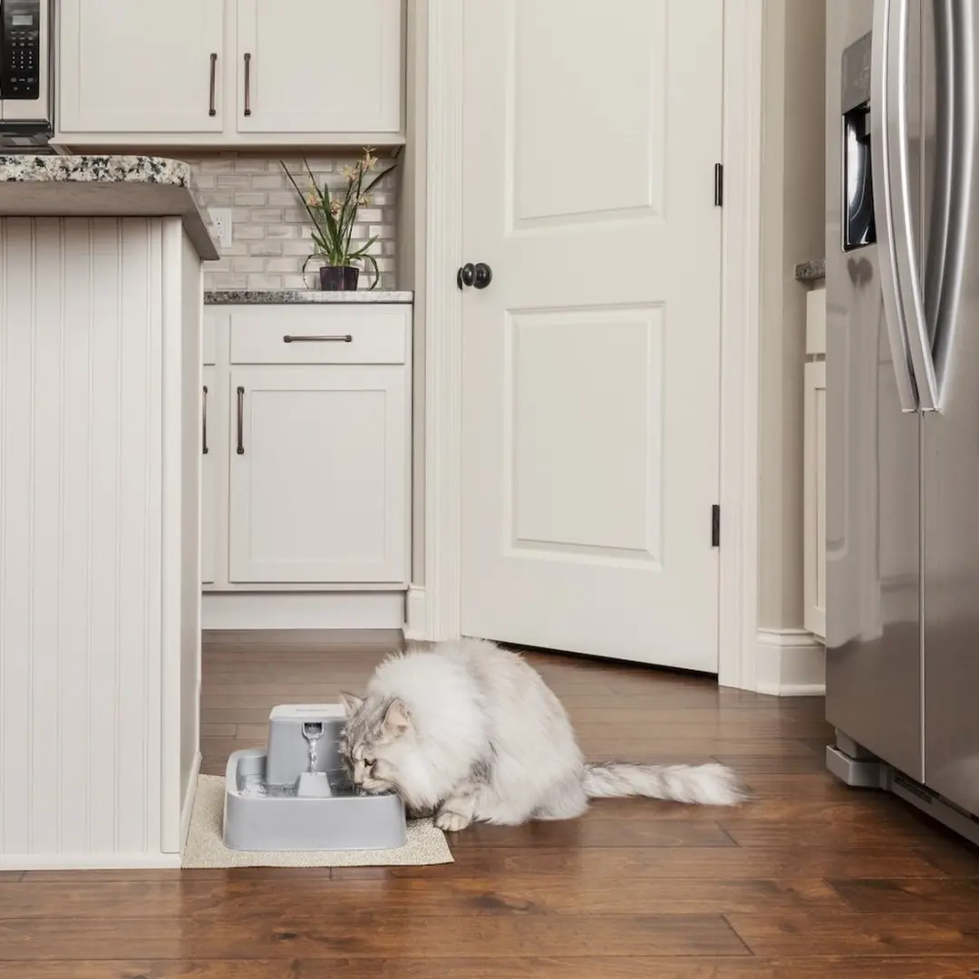 PetSafe Drinkwell® 1.8 litre Pet Fountain - Drinkfontein voor kleine honden en katten - Met vrijvallende waterstroom en verstelbare stroomsnelheid - 1,8 liter - Drinkfontein 1,8 liter - afbeelding 4 van 6