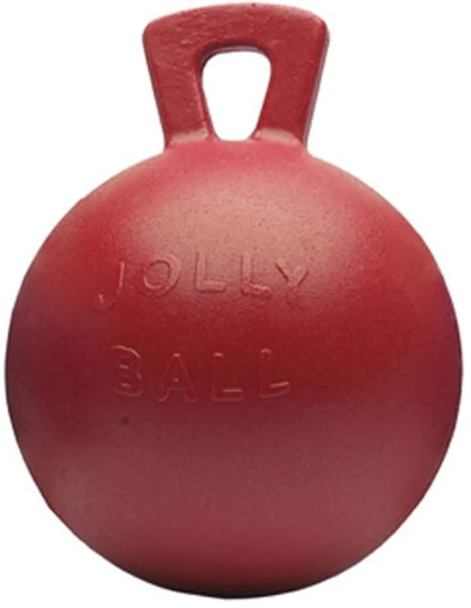 Jolly Pets Jolly Ball Speelbal 25cm - Roze - afbeelding 4 van 6