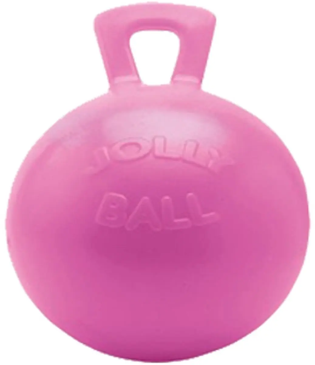 Jolly Pets Jolly Ball Speelbal 25cm - Roze - afbeelding 5 van 6