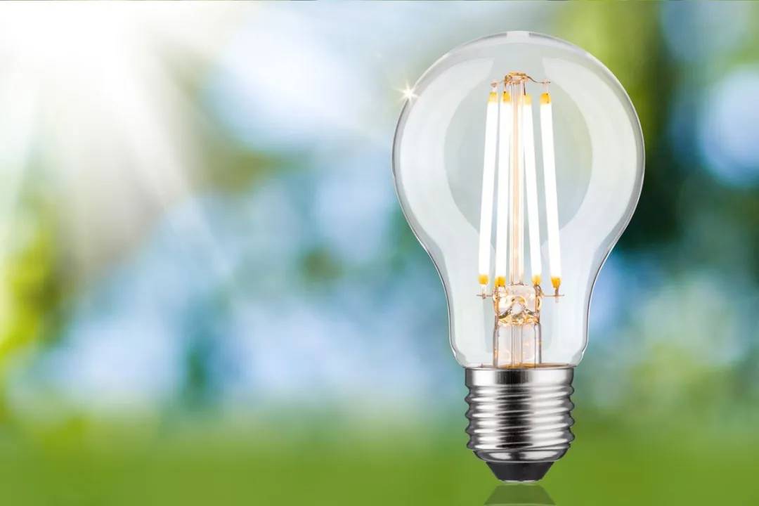 Paulmann Eco-Line LED-gloeilamp E27 806lm 4.3W 3000K - Helder