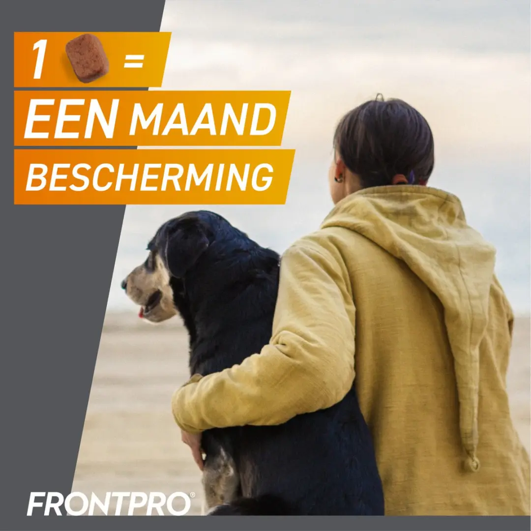 Frontpro Hond L 10-25 kg Kauwtabletten - 3 Tabletten - afbeelding 2 van 6