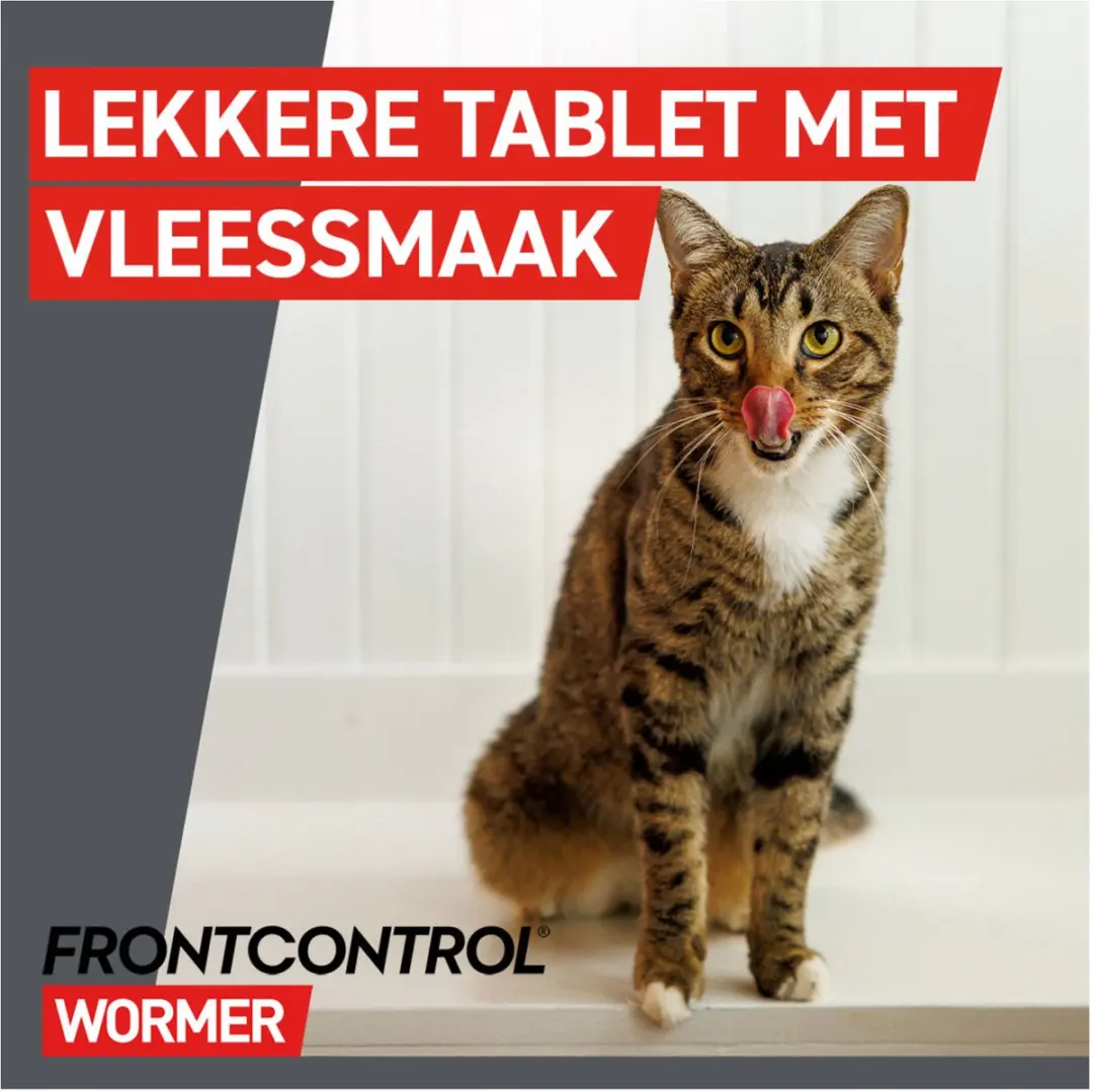 Frontcontrol Ontwormingstabletten Kat - 2 Tabletten - afbeelding 2 van 6