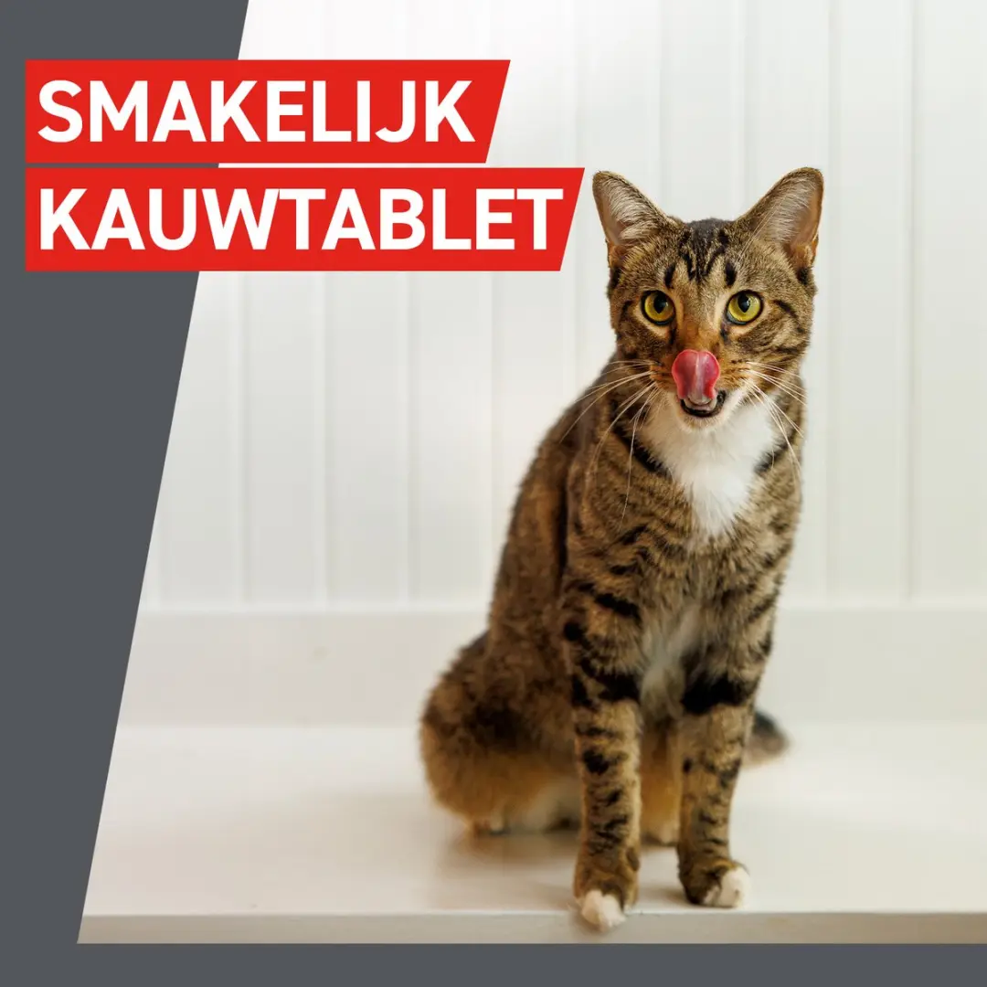 Frontcontrol Ontwormingstabletten Kat - 2 Tabletten - afbeelding 5 van 6