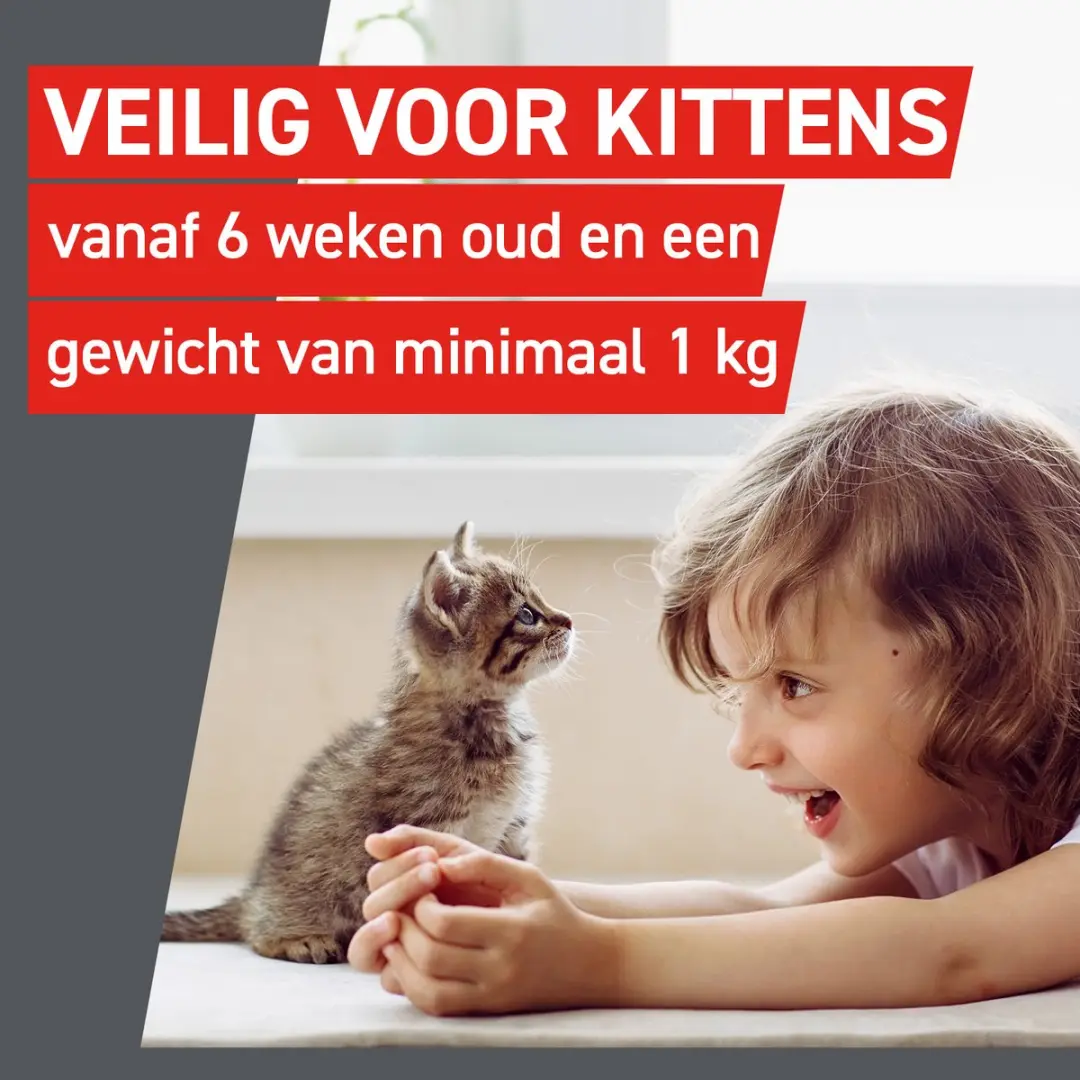 Frontcontrol Ontwormingstabletten Kat - 2 Tabletten - afbeelding 6 van 6