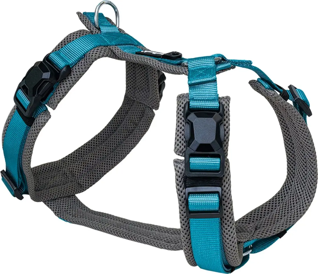 Petlando Magnetech Y-Hondentuig Comfort Antraciet/Petrol
