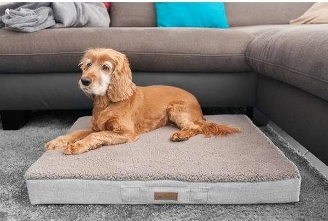 Petlando Orthopedisch ligbed Merano Stone M - Hond - afbeelding 3 van 6