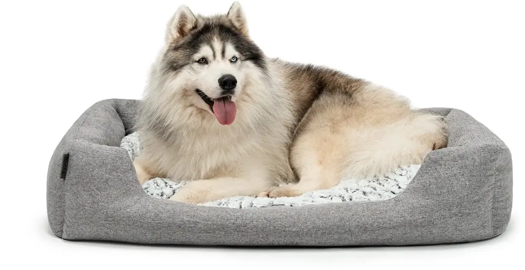 lionto comfort hondenmand, zacht, antislip & onderhoudsvriendelijk, 110x80 cm gr