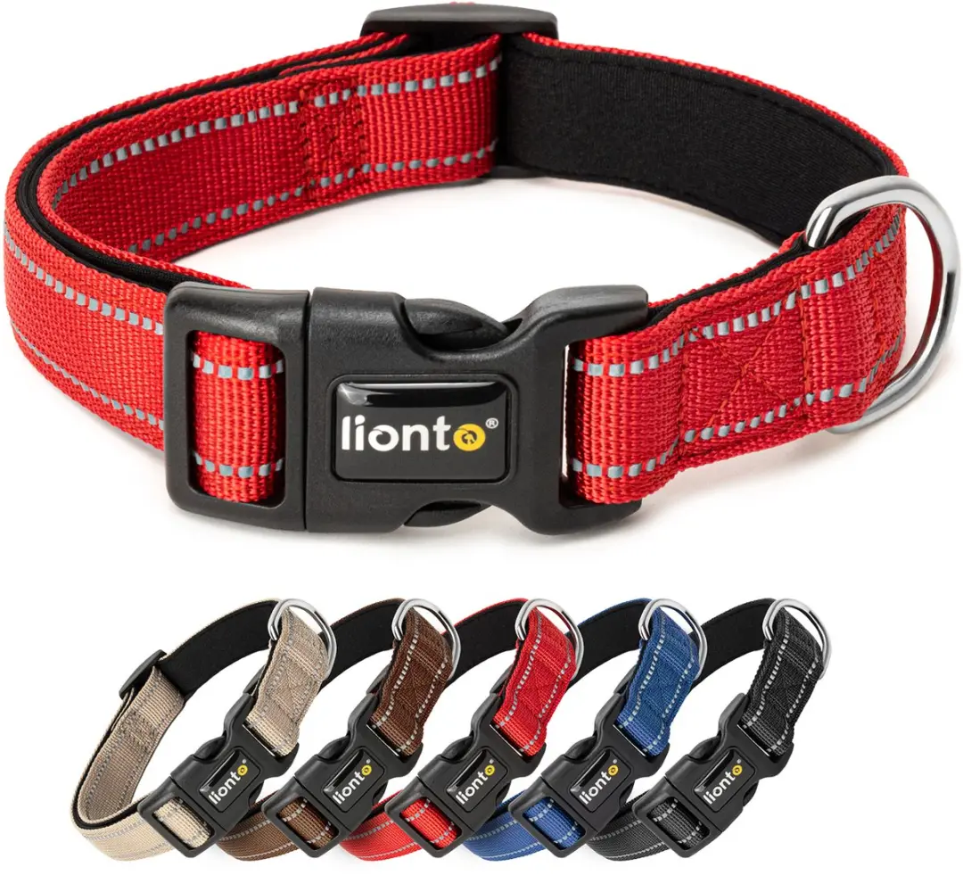 lionto reflecterende hondenhalsband, verstelbaar 45-70 cm XL rood