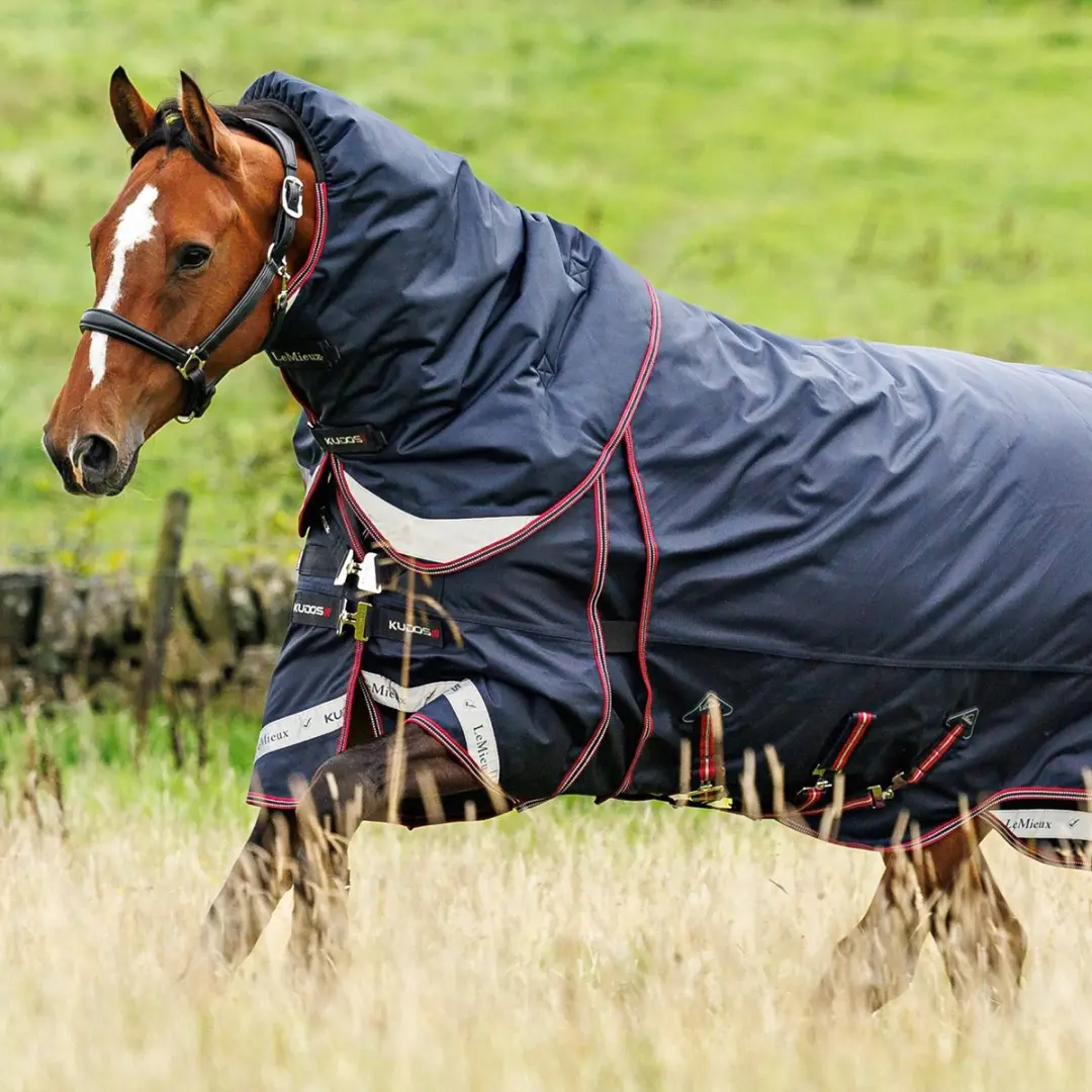 LeMieux Kudos Thermo Pro Turnout Paardendeken 300gr - afbeelding 5 van 6