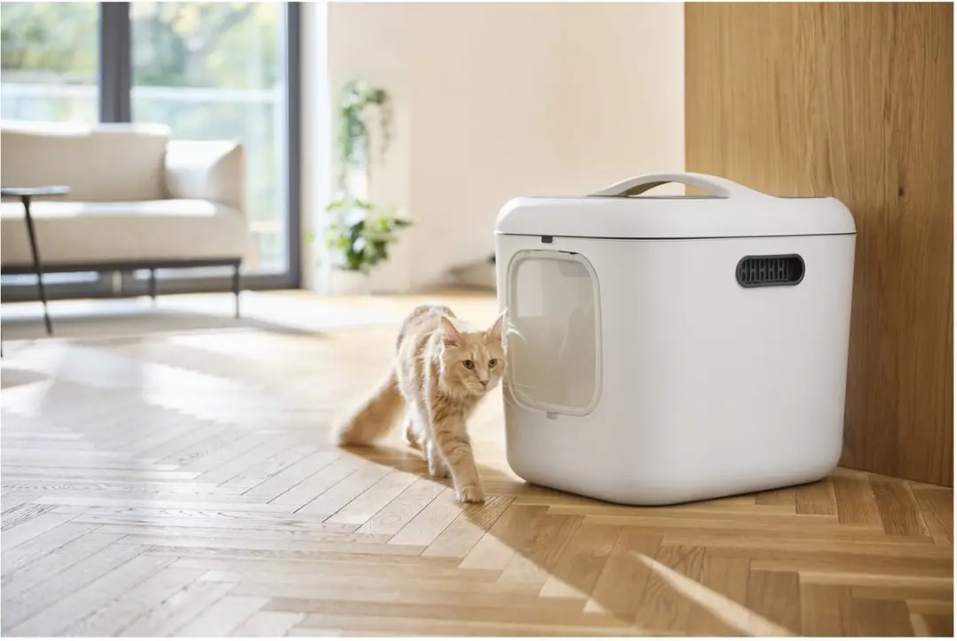 Rotho MyPet Biala Kattenbak XL - 62x50x58cm - Wit - afbeelding 3 van 6