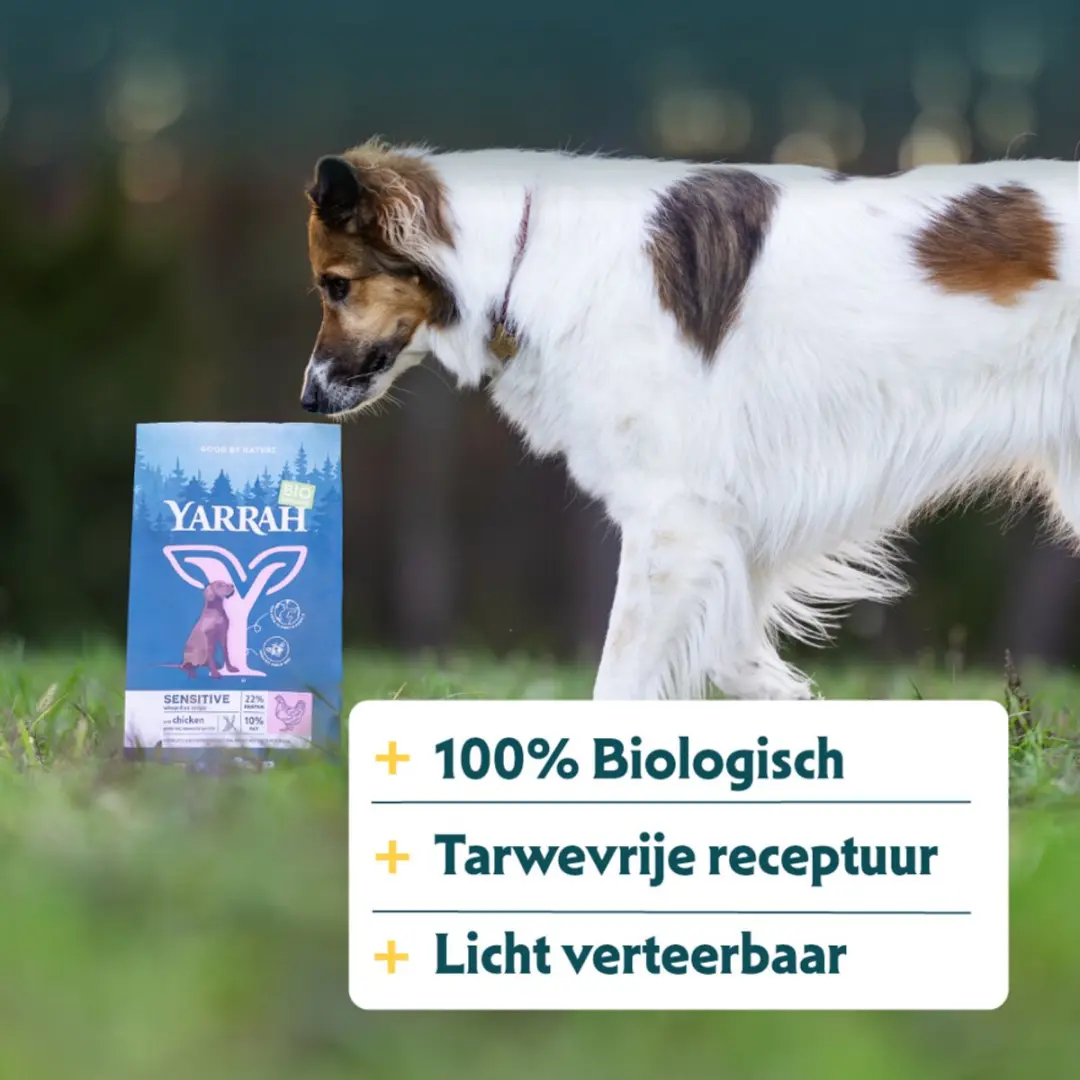 Yarrah Bio Hondenvoer Sensitive Adult Kip & Rijst - 4x 2kg - afbeelding 4 van 6