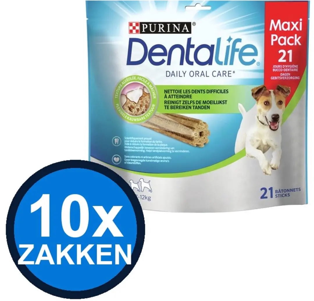 10x Dentalife