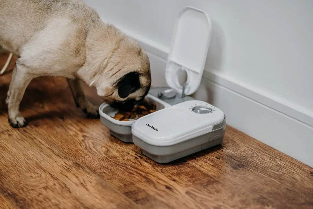 Cat Mate C200 Automatische Voerbak - 2 Maaltijden - Wit - afbeelding 2 van 6