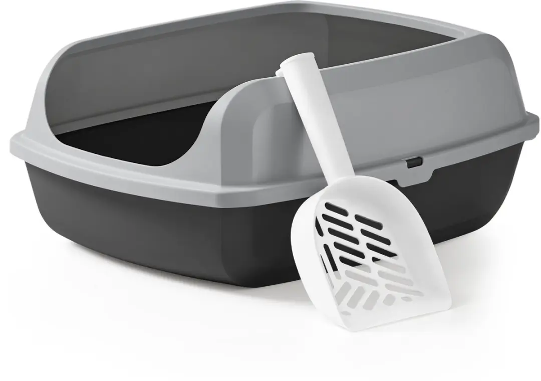 Feandrea