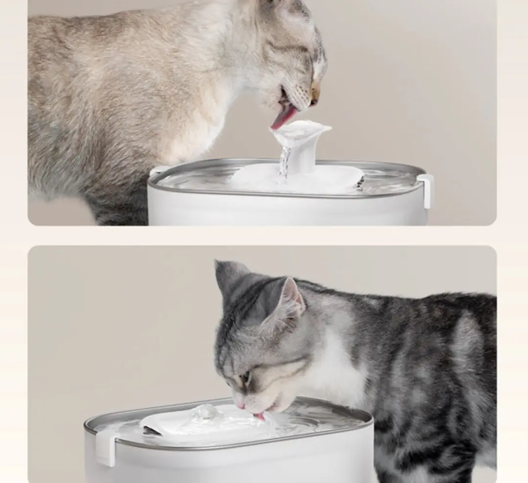 Petlibro Dockstream Automatische Drinkfontein 2,5L Wit - afbeelding 6 van 6