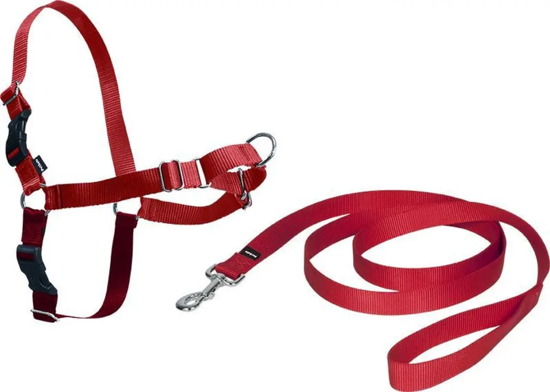 PetSafe Easy Walk Harnas - S - Rood - afbeelding 2 van 3