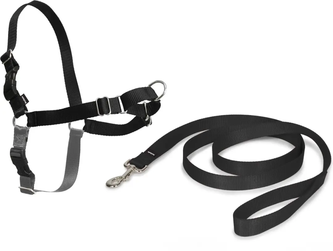 PetSafe Easy Walk Hondentuig - XL - Zwart - afbeelding 3 van 6