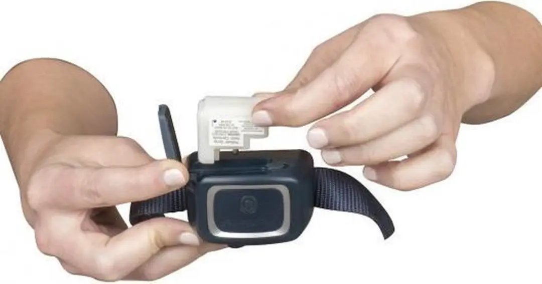 PetSafe Big Dog Deluxe Anti-Blafband met Spray - afbeelding 3 van 6