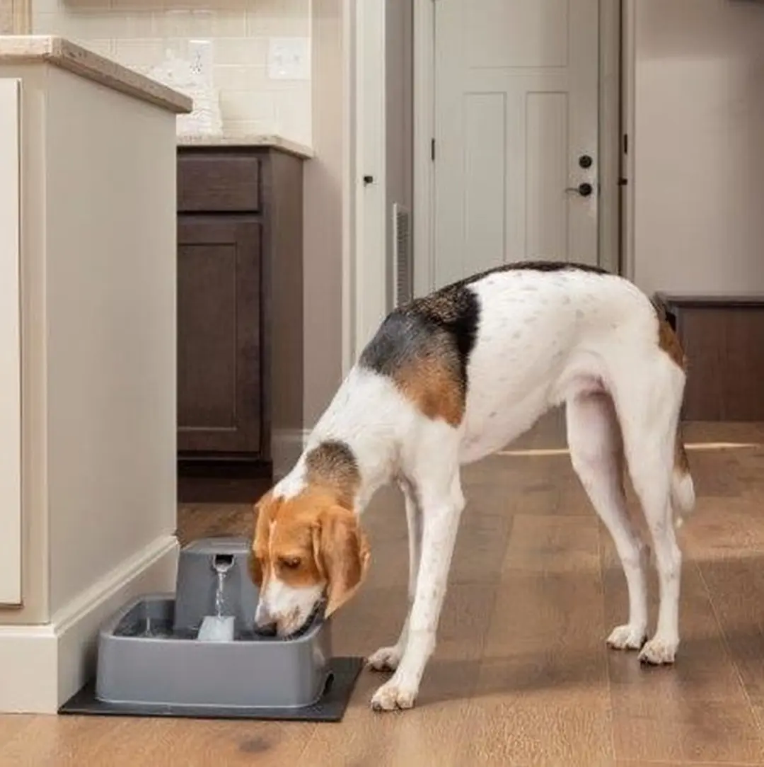 PetSafe Drinkwell 3,7 liter drinkfontein - afbeelding 4 van 6