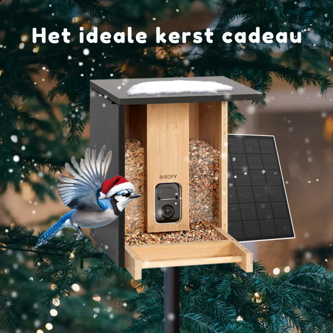 Birdfy Bamboo Vogelvoederhuisje met Camera - Zonnepaneel - afbeelding 2 van 6