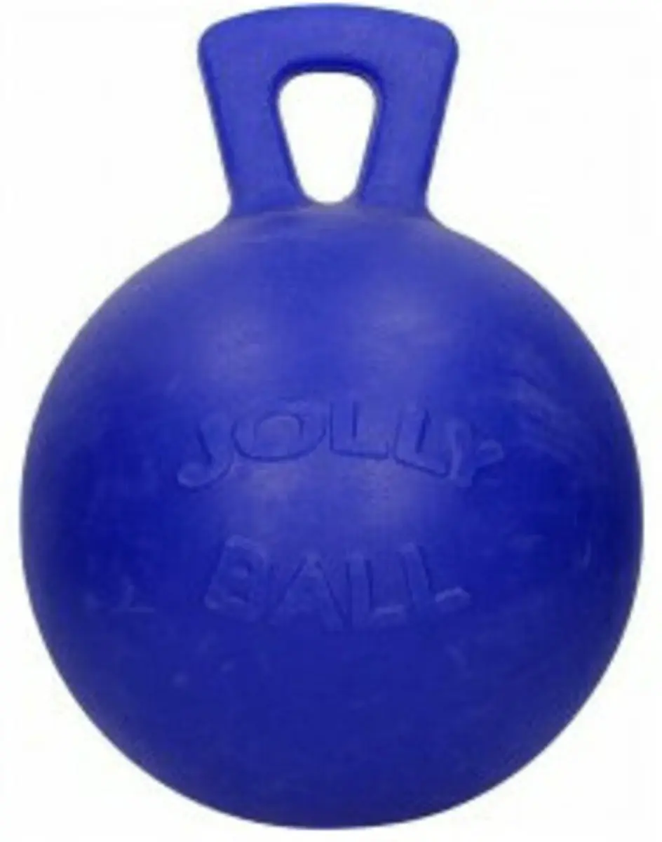 Jolly Pets Jolly Ball Paardenbal - Ø20cm - Blauw - afbeelding 6 van 6