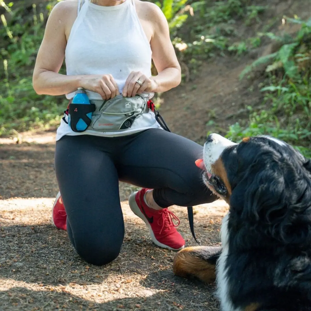 Kurgo K9 Excursion Running Belt - Grijs/Rood - afbeelding 6 van 6