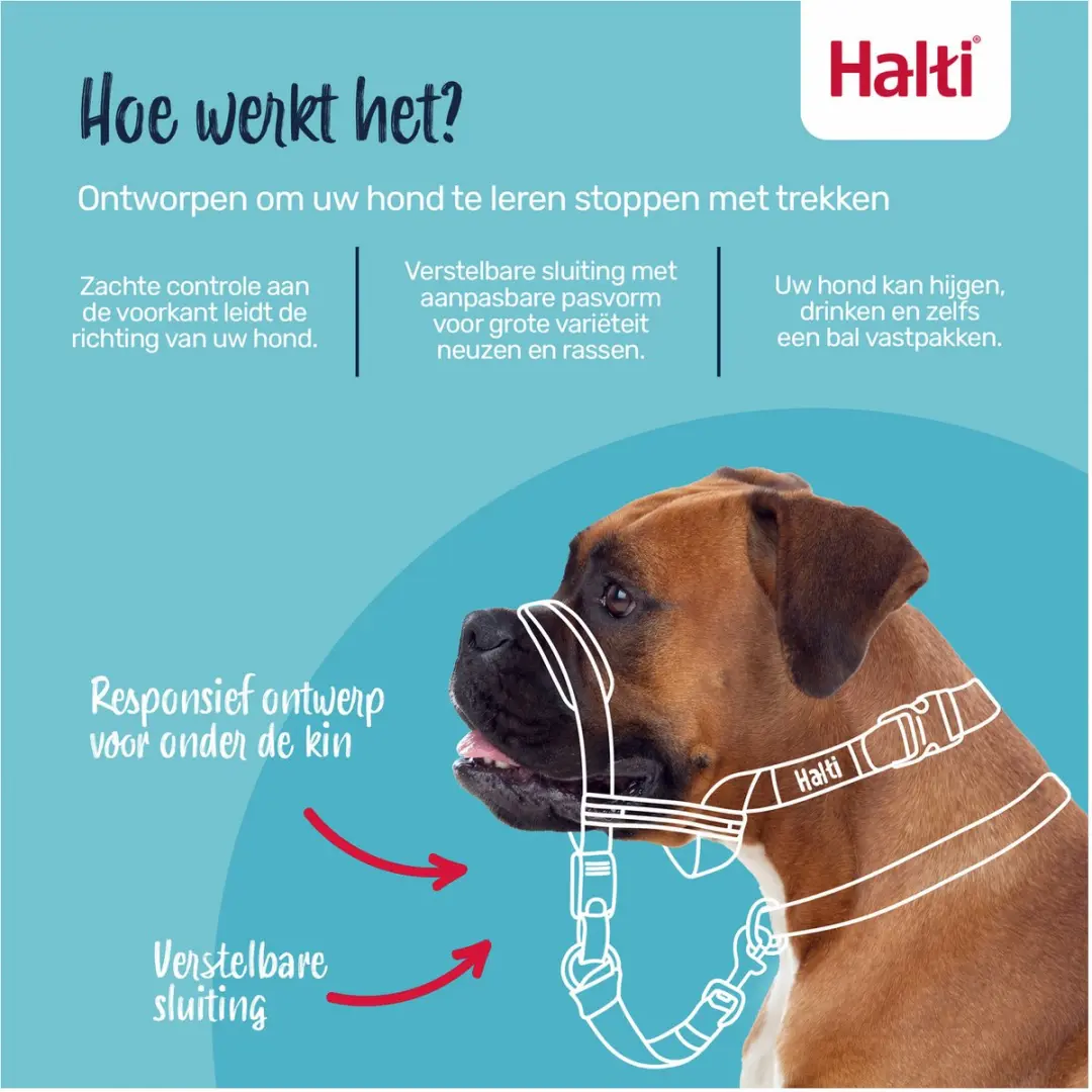 Halti Optifit Hoofdtuig voor Honden - L - Zwart - afbeelding 2 van 6