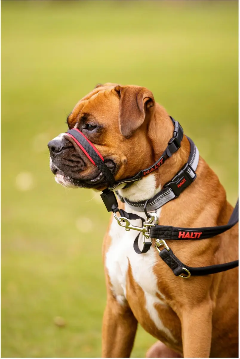 Halti Optifit Hoofdtuig voor Honden - L - Zwart - afbeelding 5 van 6