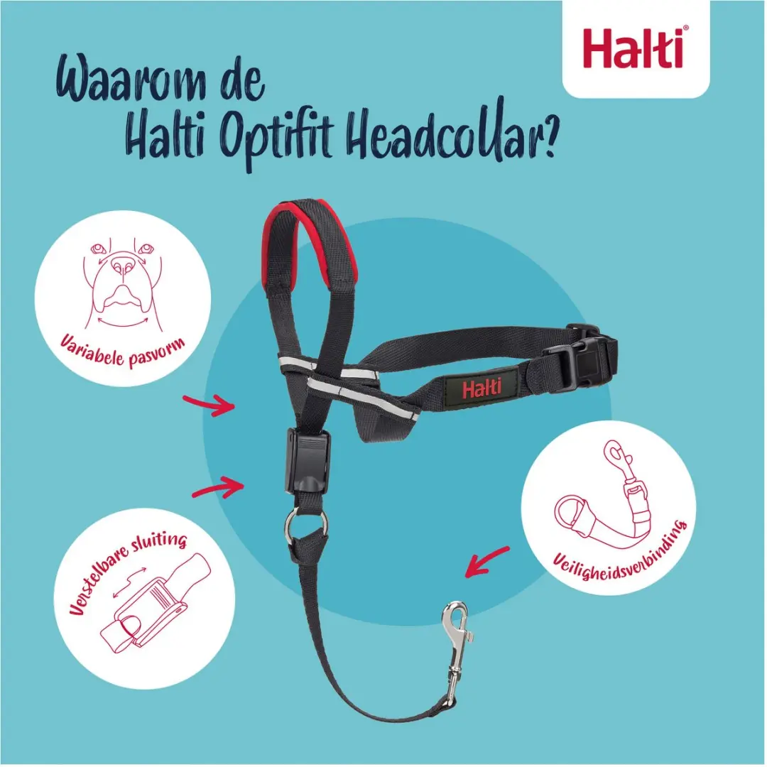 Halti Optifit Hoofdtuig voor Honden - L - Zwart - afbeelding 4 van 6