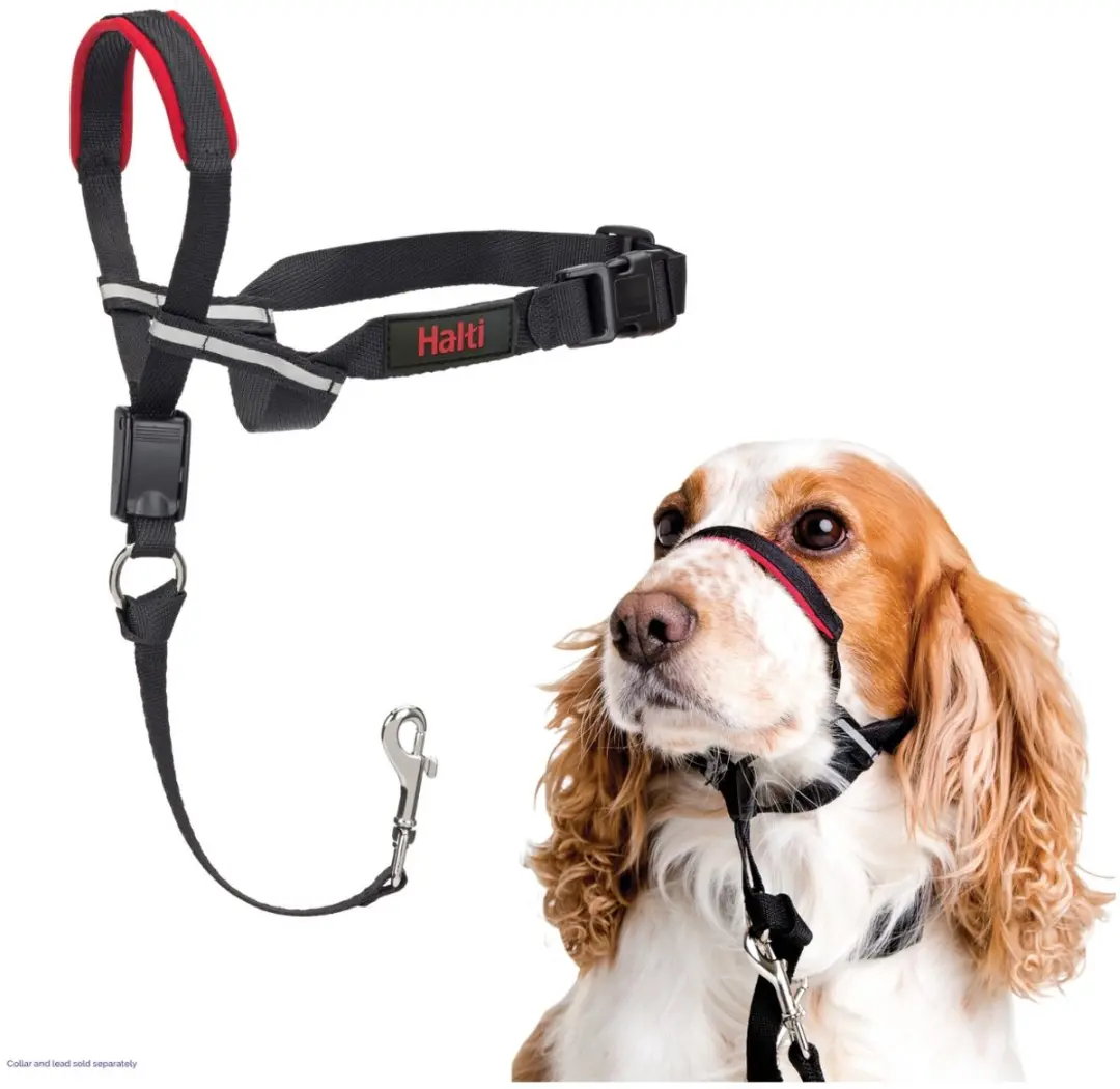 Halti Optifit Hoofdtuig voor Honden - L - Zwart - afbeelding 6 van 6