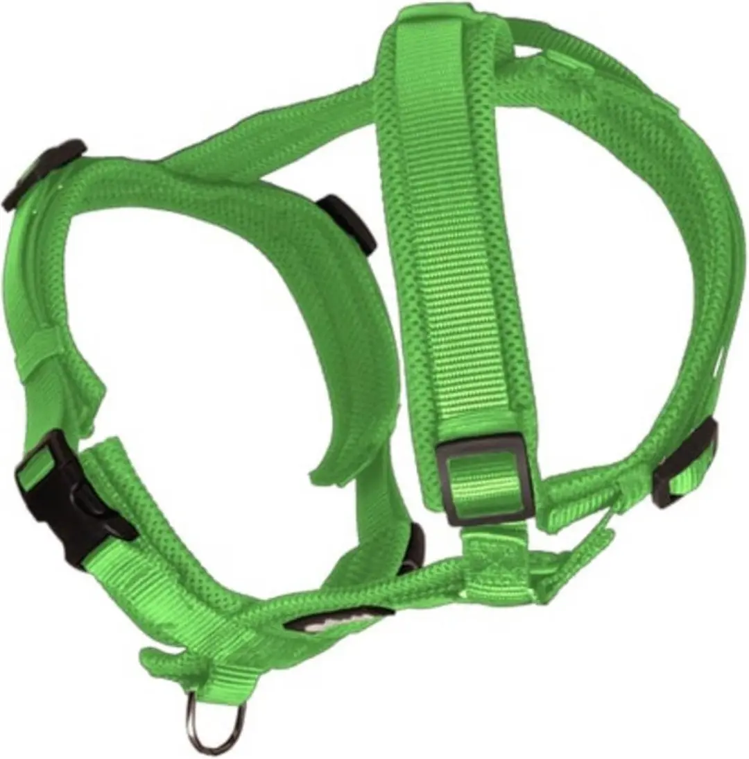 Petlando Hondentuig Maat XS 32-50 cm Apple Groen