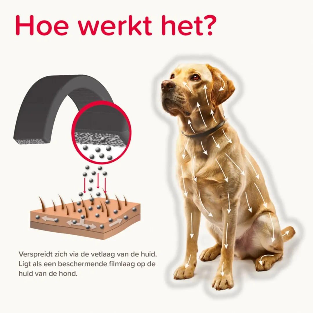 Beaphar Canishield Anti Vlooien & Tekenband Hond M - 2x48cm