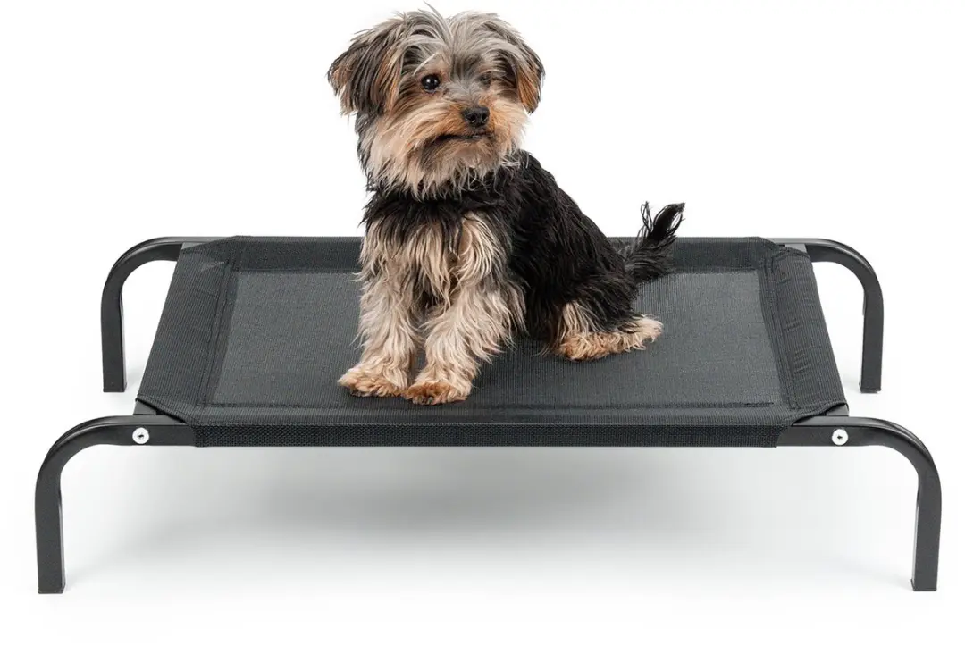 lionto verhoogd hondenbed belastbaar tot 30 kg, 75x47 cm zwart